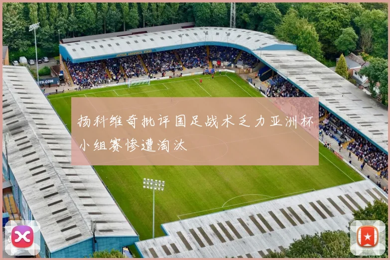 扬科维奇批评国足战术乏力亚洲杯小组赛惨遭淘汰